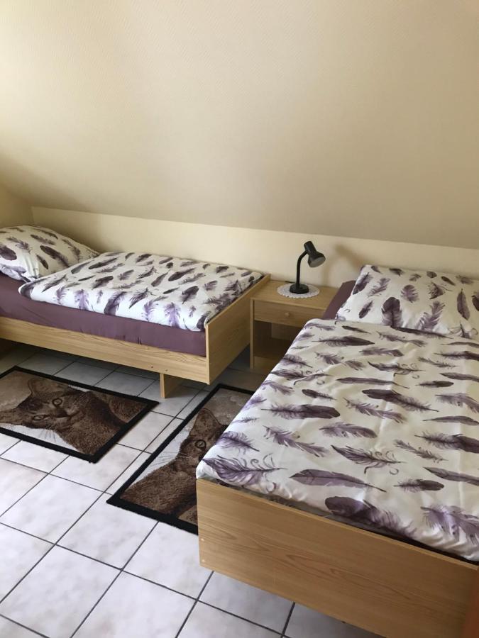 Ferienhaus Kleymann Sögel Zewnętrze zdjęcie
